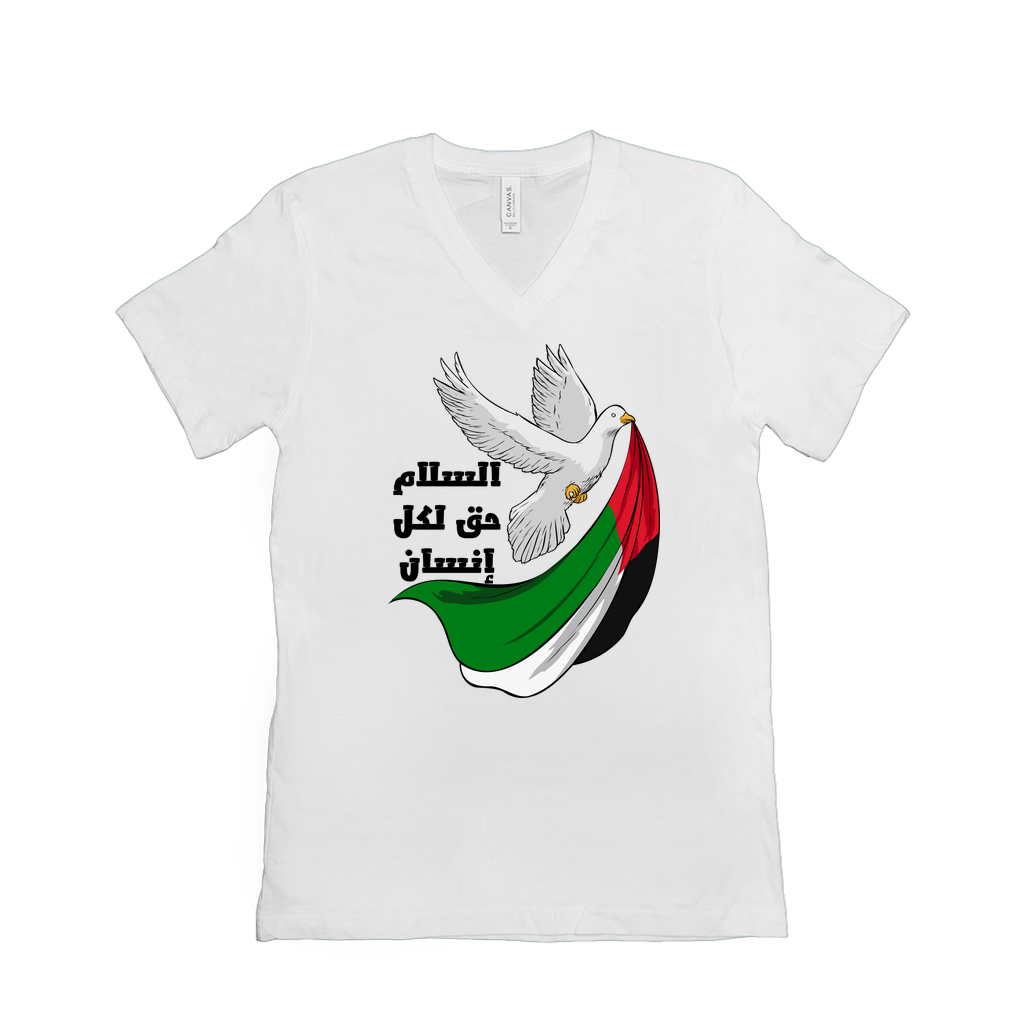 Palestine T-Shirt - Peace is a Right for Every Human - السلام حق لكل إنسان T-Shirts