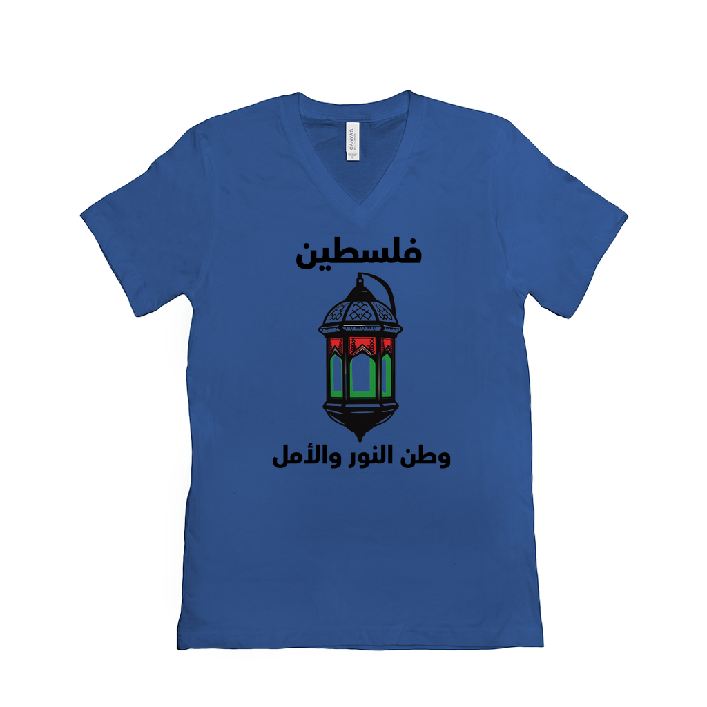 Palestine: Land of Light and Hope - A Beacon of Resilience T-Shirt