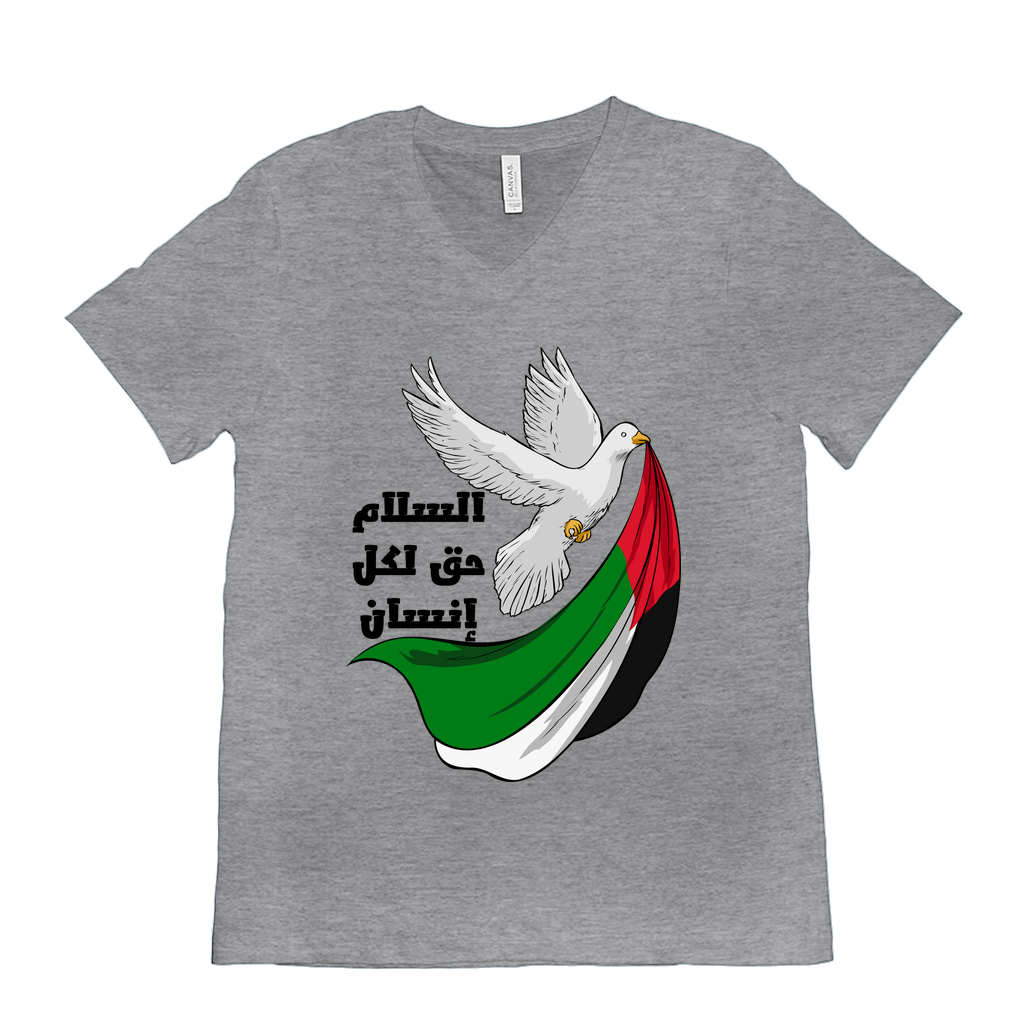 Palestine T-Shirt - Peace is a Right for Every Human - السلام حق لكل إنسان T-Shirts